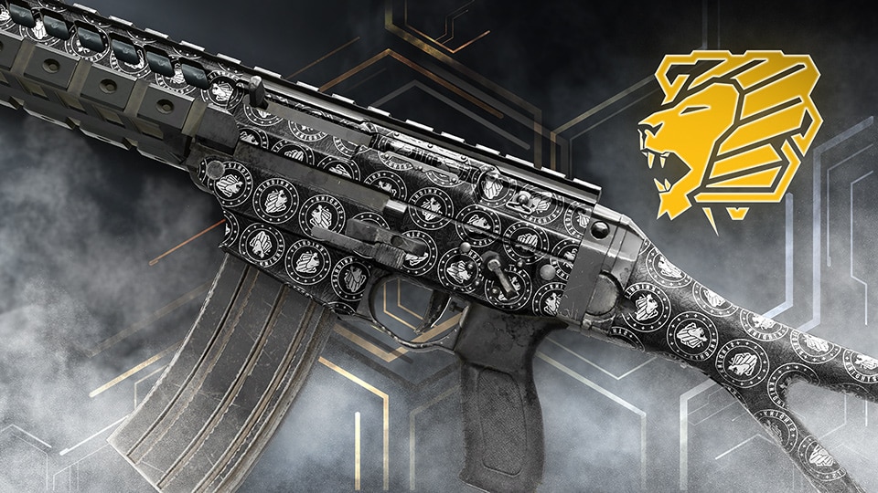 -R6ES- - December 2023: New team-branded Signature weapon skins available now! - Knights