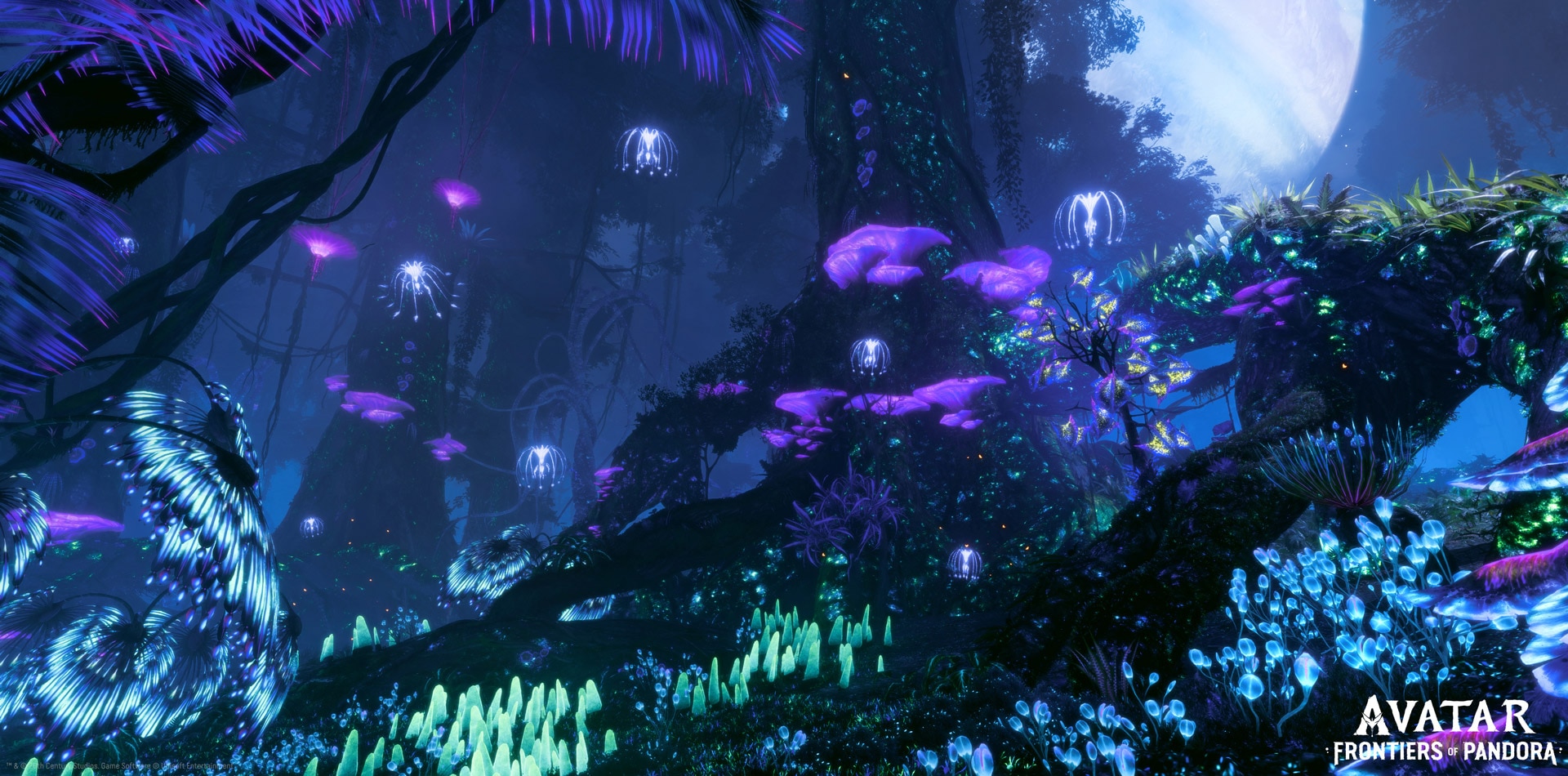 [UN][News] ‘It Was Not the Tech, but the People’ – How Avatar: Frontiers of Pandora Embraces Creativity While Pushing Boundaries of Technology - BIOLEMINESCENCE