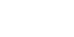 logo_WWise